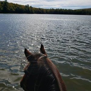 Meet your Posher, Terese